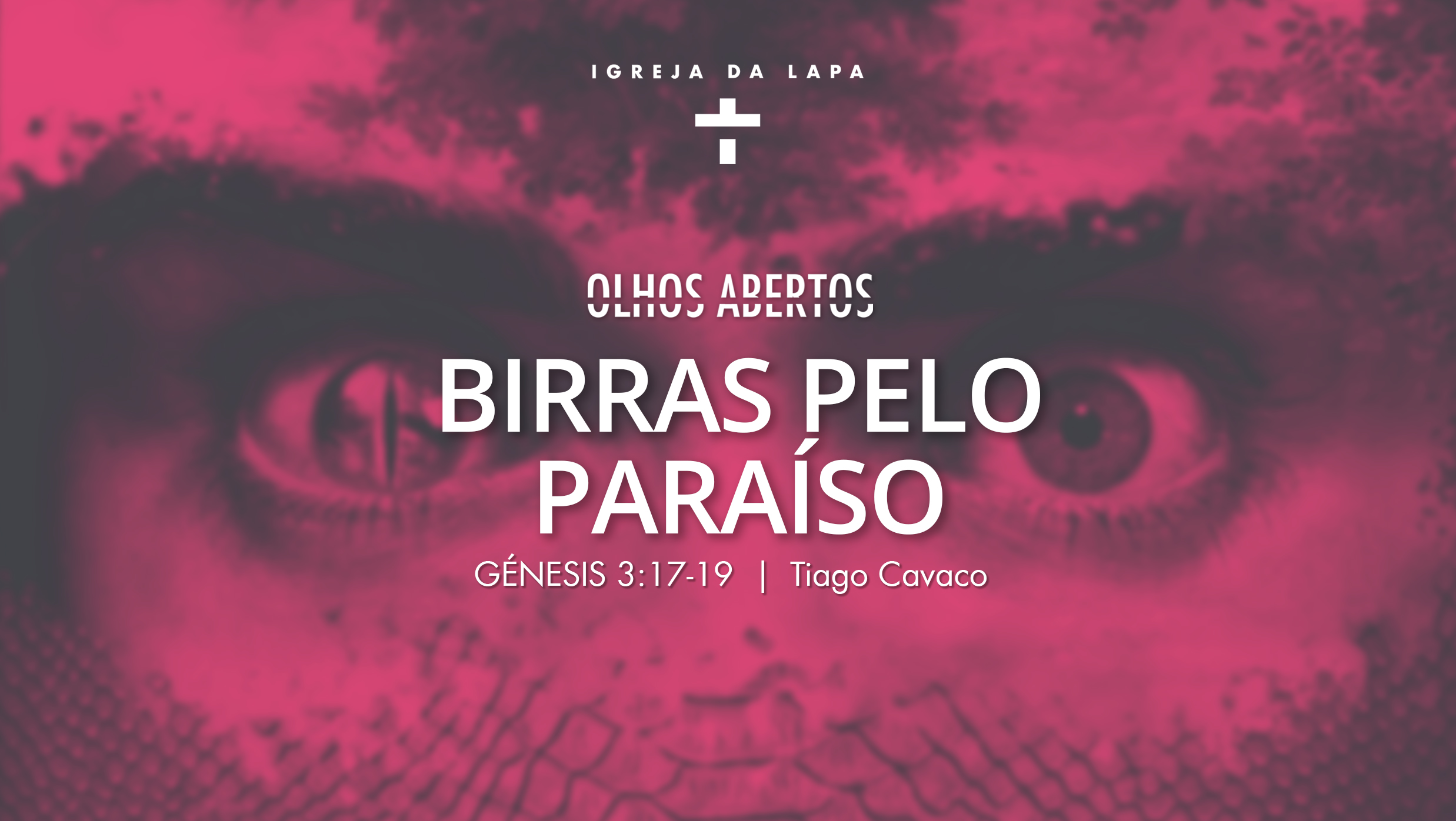 Birras pelo Paraíso episode artwork