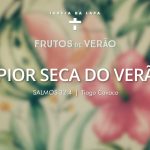 Frutos de Verão