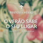 Frutos de Verão