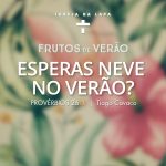 Frutos de Verão