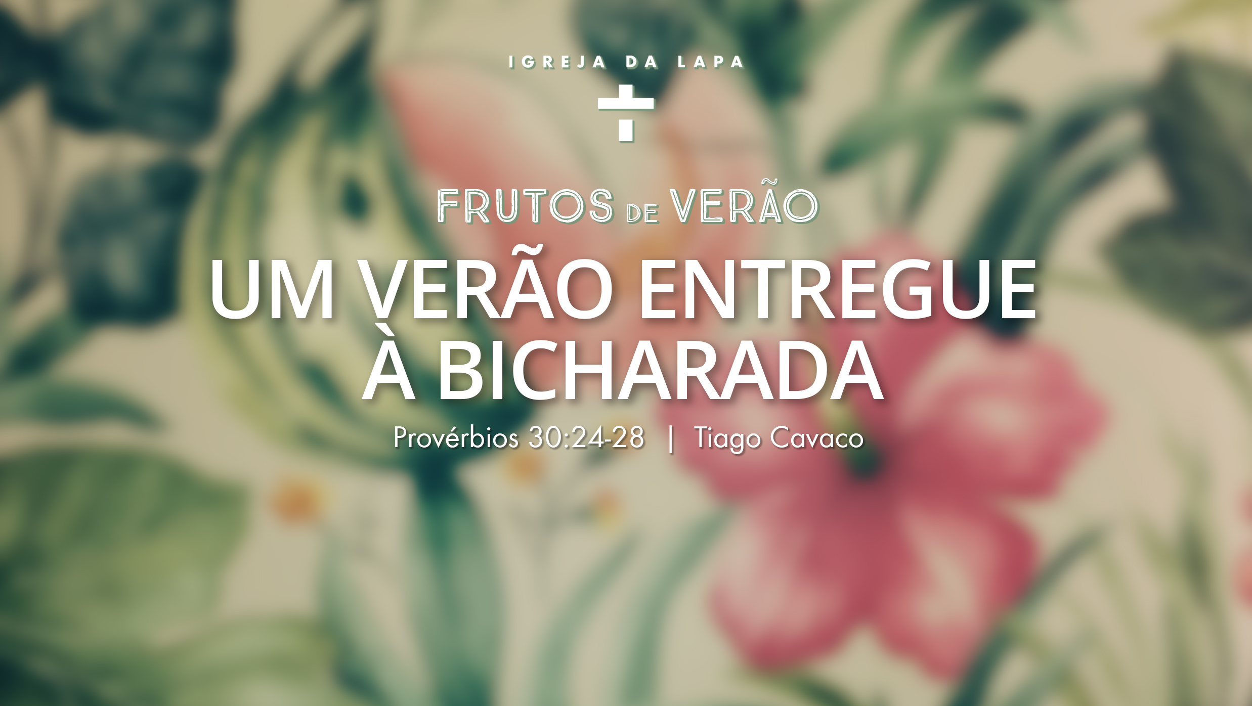 Um Verão entregue à bicharada episode artwork