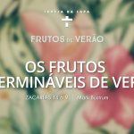 Frutos de Verão
