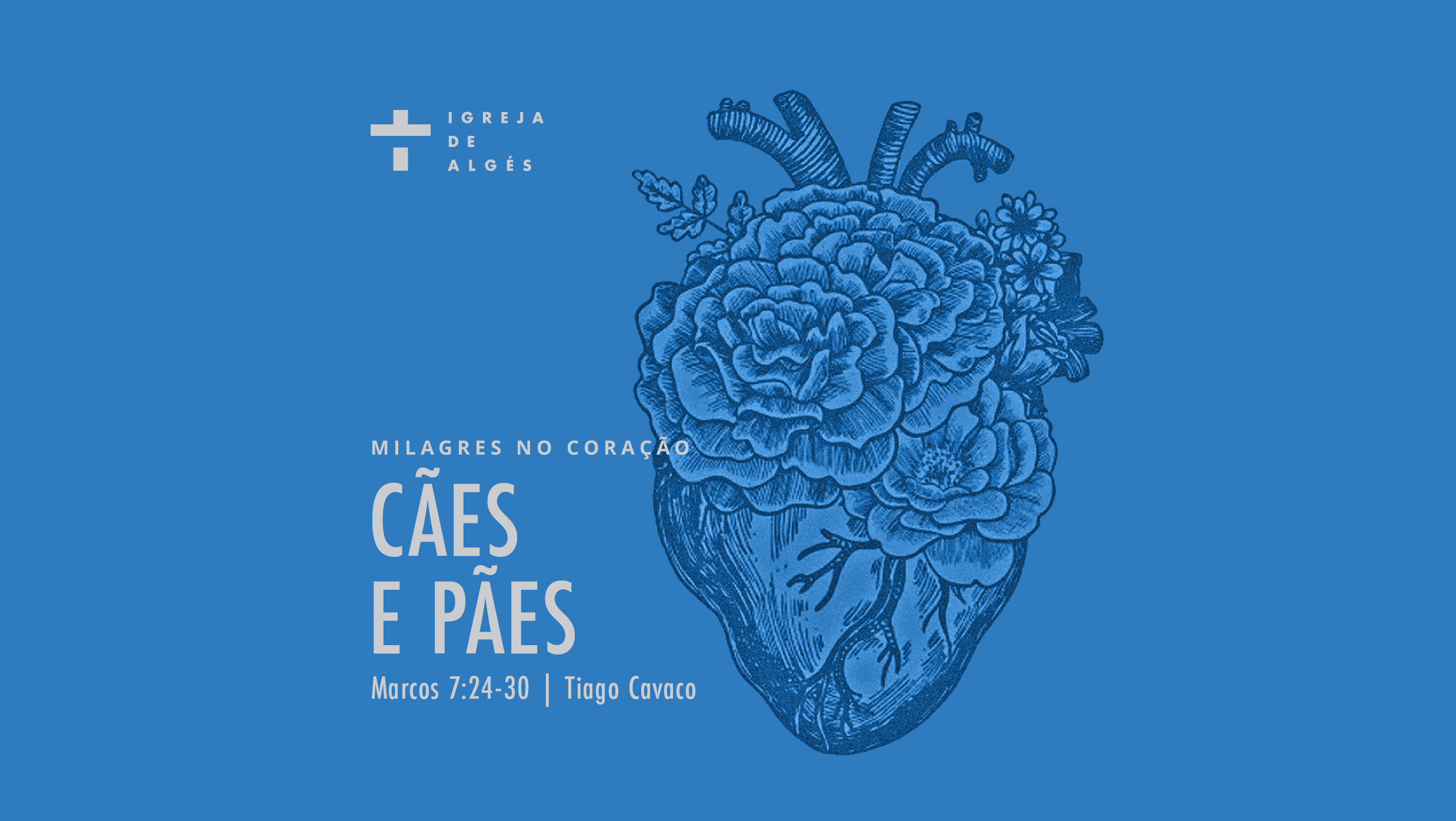 Cães e pães