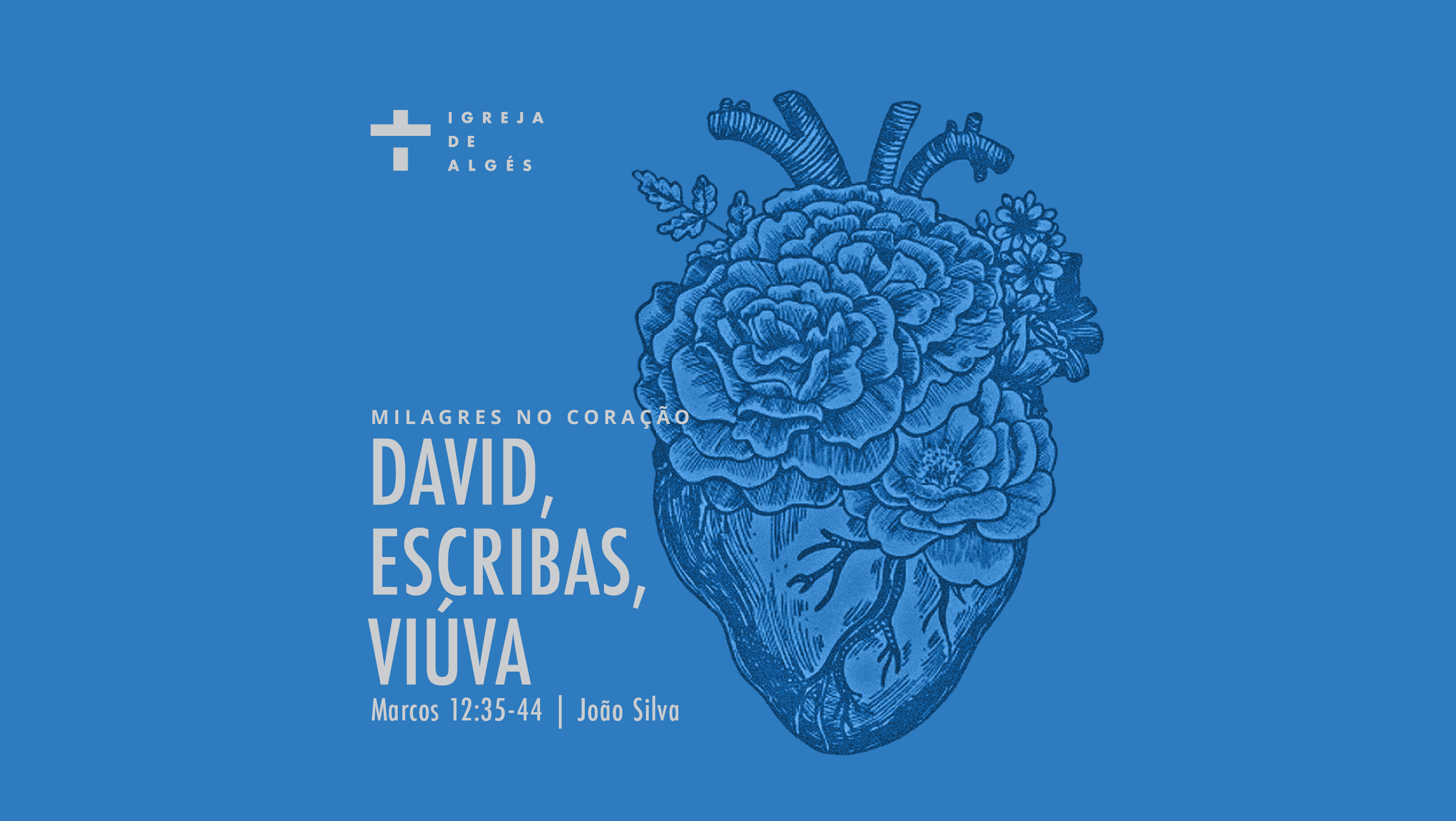 David, escribas, viúva episode artwork