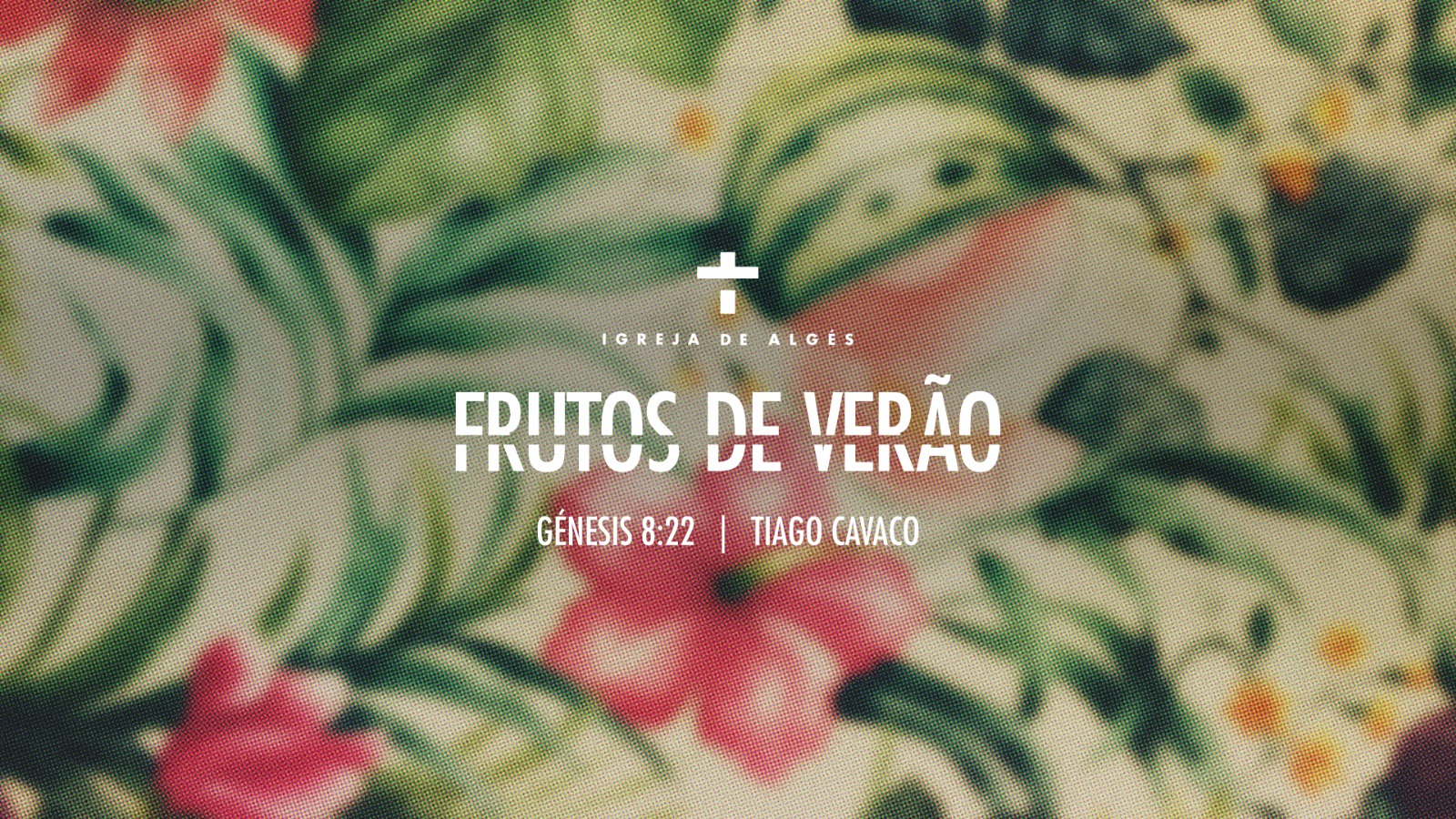 Frutos de verão episode artwork